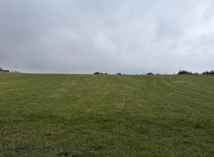 Site, In Bogtown Cloneygowan, Cloneygowan, R35A306