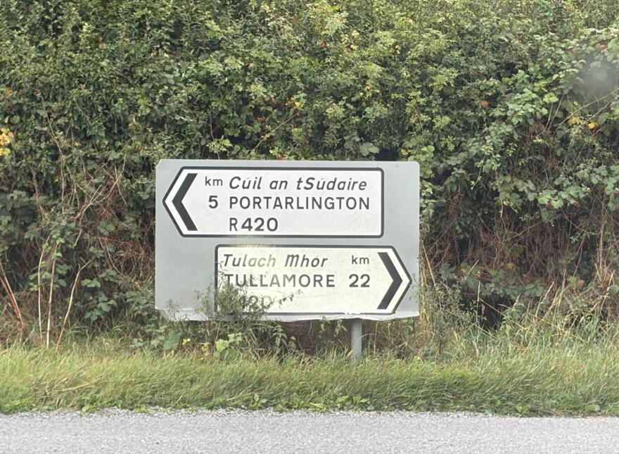 Site, In Bogtown Cloneygowan, Cloneygowan, R35A306