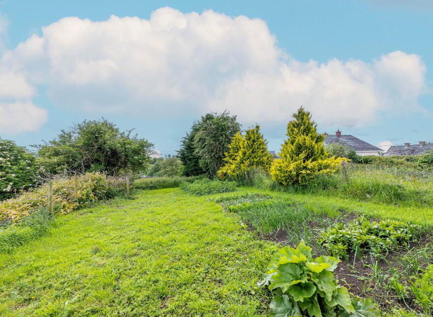 Main Street, Killeshandra, H12E302