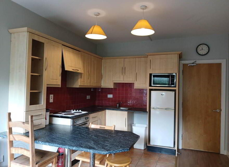 39 Wellmount Student Village, Dublin Road, Athlone, N37XP59