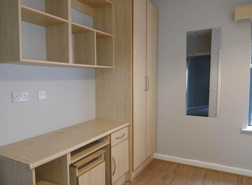 39 Wellmount Student Village, Dublin Road, Athlone, N37XP59