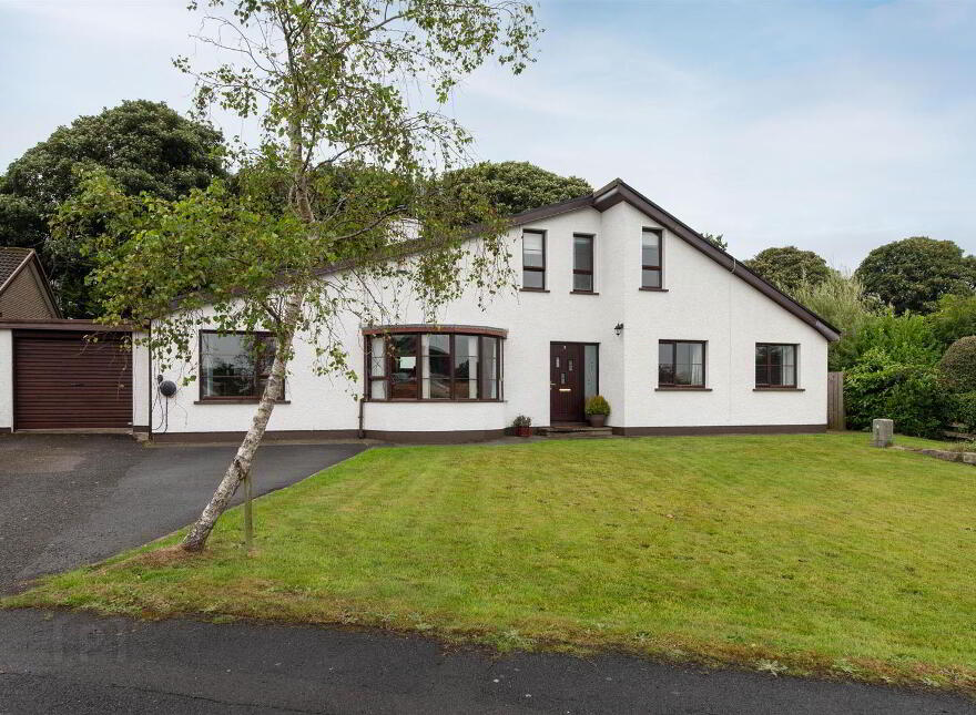 7 Drumlin Park, Downpatrick, BT30 6NT