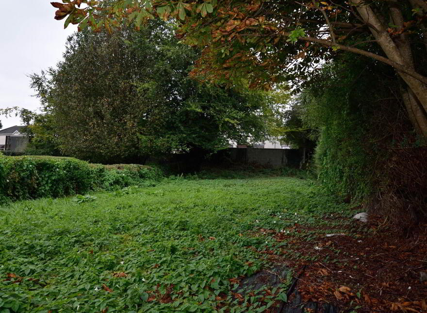New Road, Bailieborough, A82T189