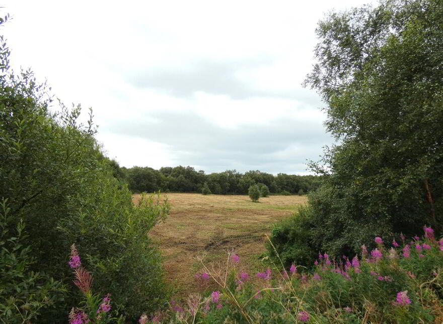 Land Ballindreen Road, Ballybogey, Ballymoney, BT53 6TR