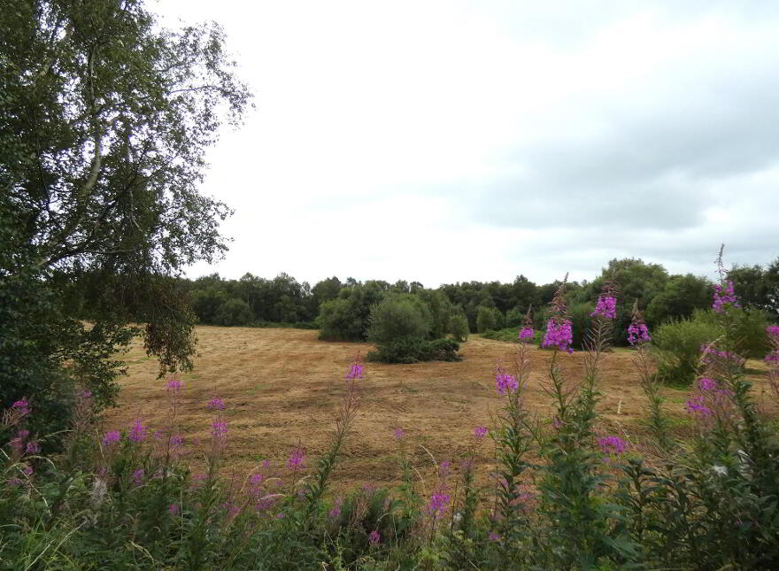 Land Ballindreen Road, Ballybogey, Ballymoney, BT53 6TR