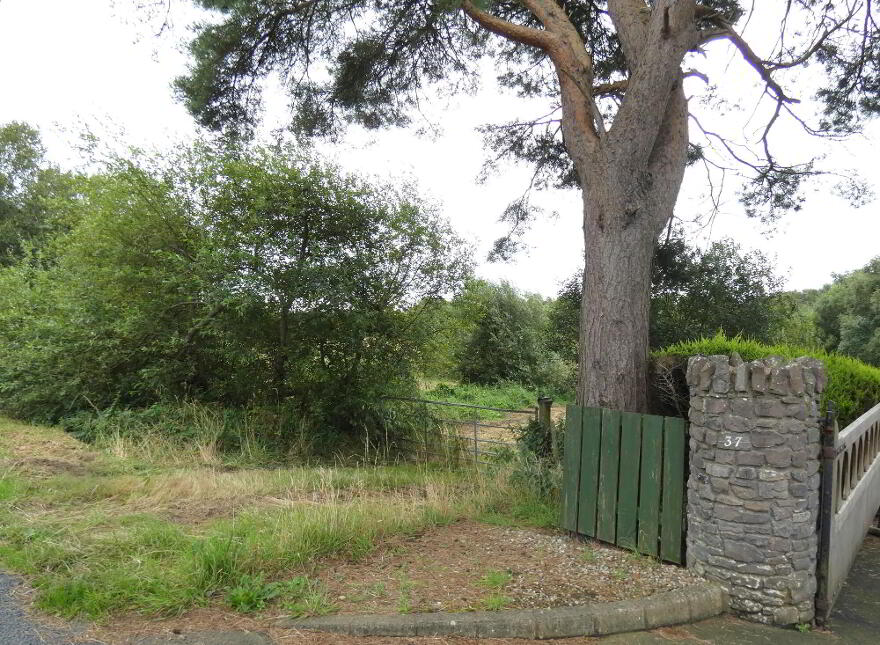 Land Ballindreen Road, Ballybogey, Ballymoney, BT53 6TR