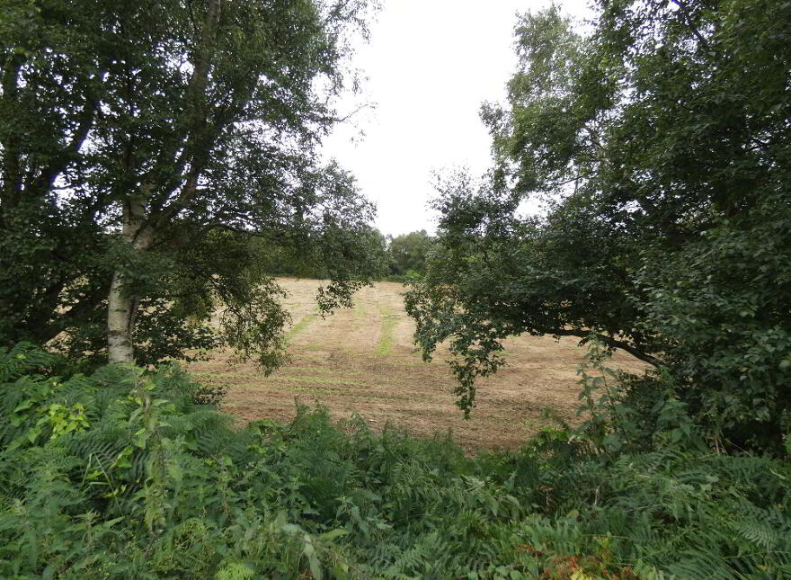 Land Ballindreen Road, Ballybogey, Ballymoney, BT53 6TR