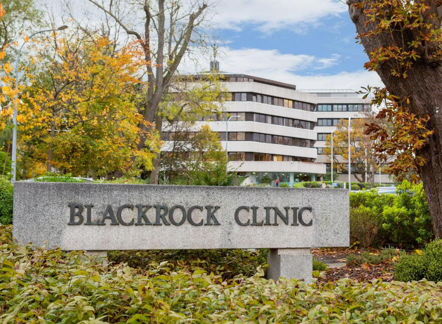 9 Brusna Cottages, Blackrock Village, Blackrock, Blackrock, A94N2N2