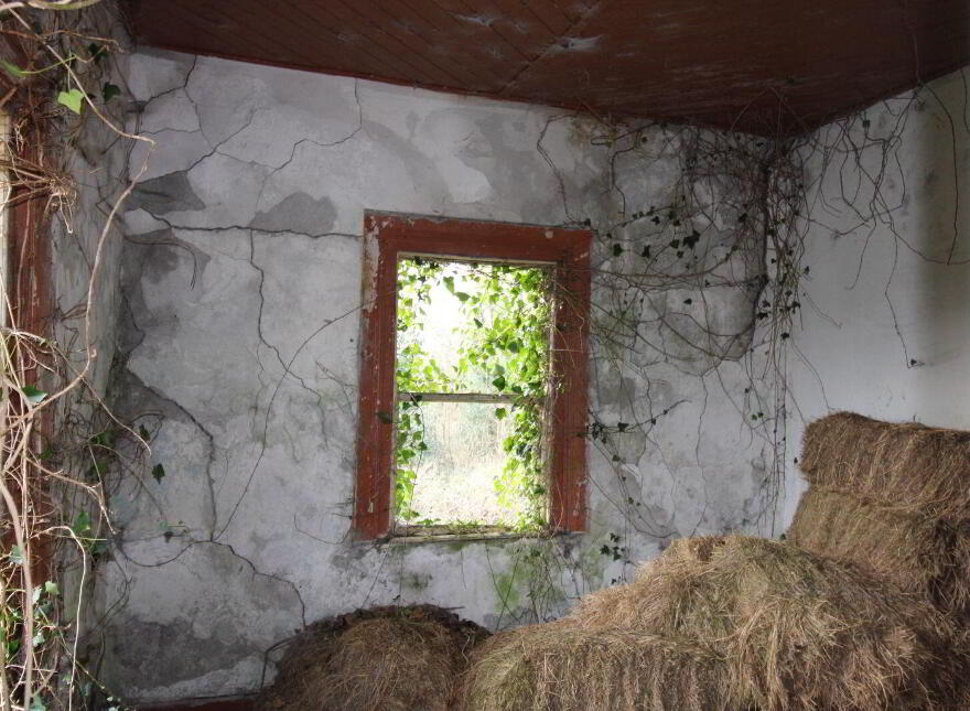 Derelict Cottage With Circa 9.7 Acres, Partry