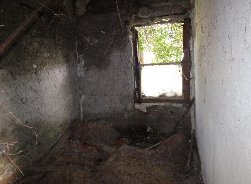 Derelict Cottage With Circa 9.7 Acres, Partry