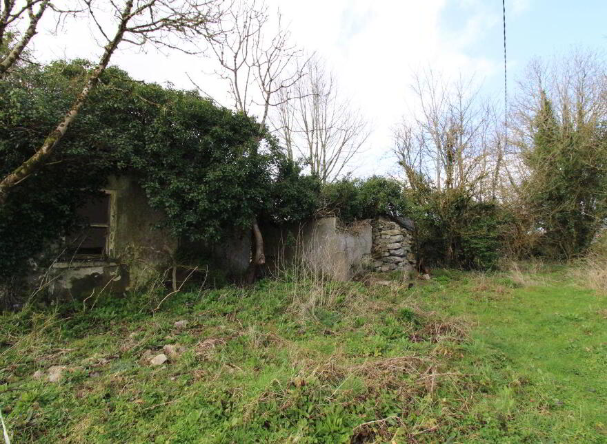 Derelict Cottage With Circa 9.7 Acres, Partry