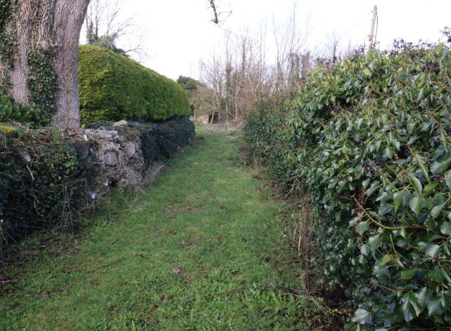 Derelict Cottage With Circa 9.7 Acres, Partry