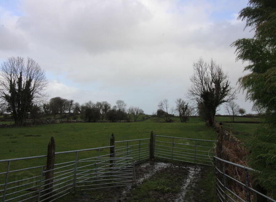 Derelict Cottage With Circa 9.7 Acres, Partry
