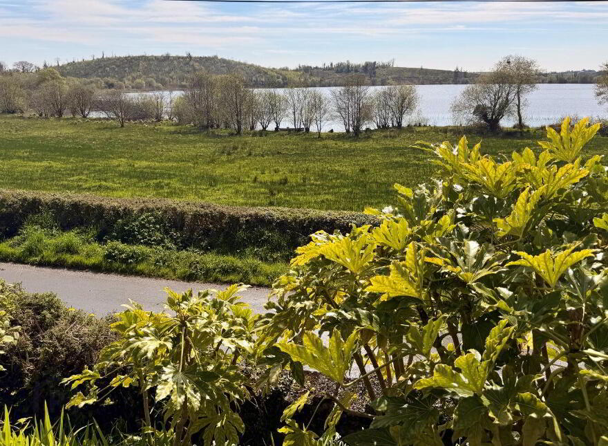 Cornagon, Keshcarrigan, N41XT18