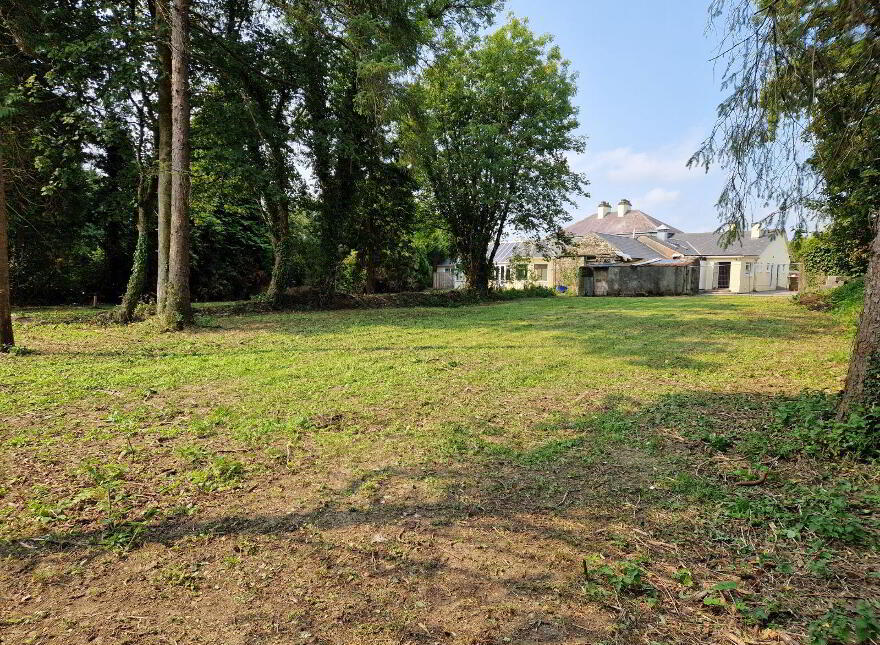 The Vintage, Moydow, N39Y6W7