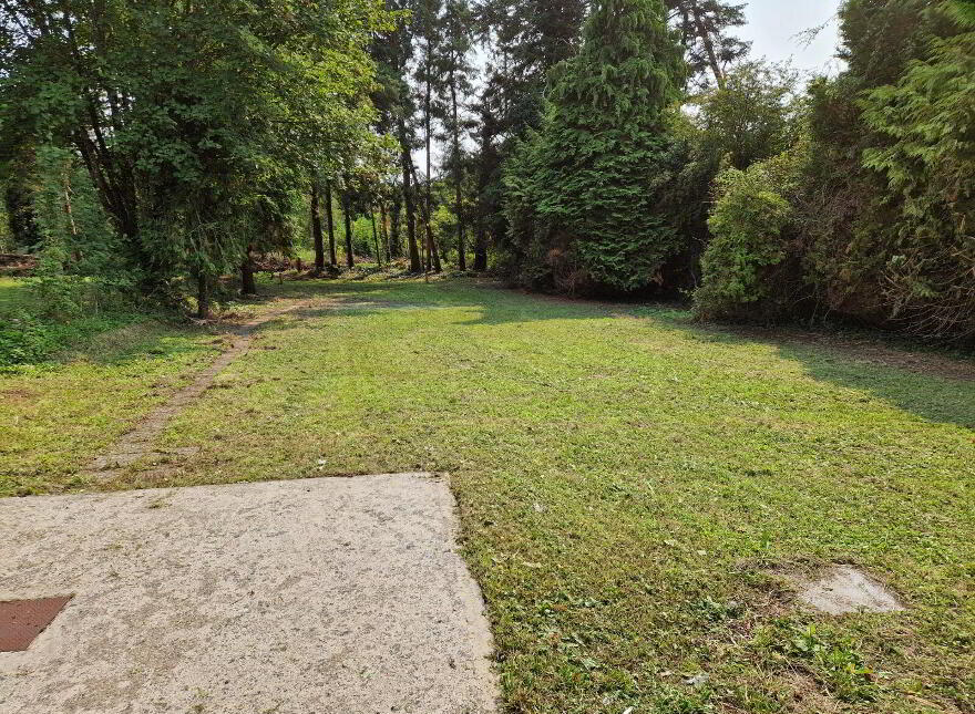 The Vintage, Moydow, N39Y6W7