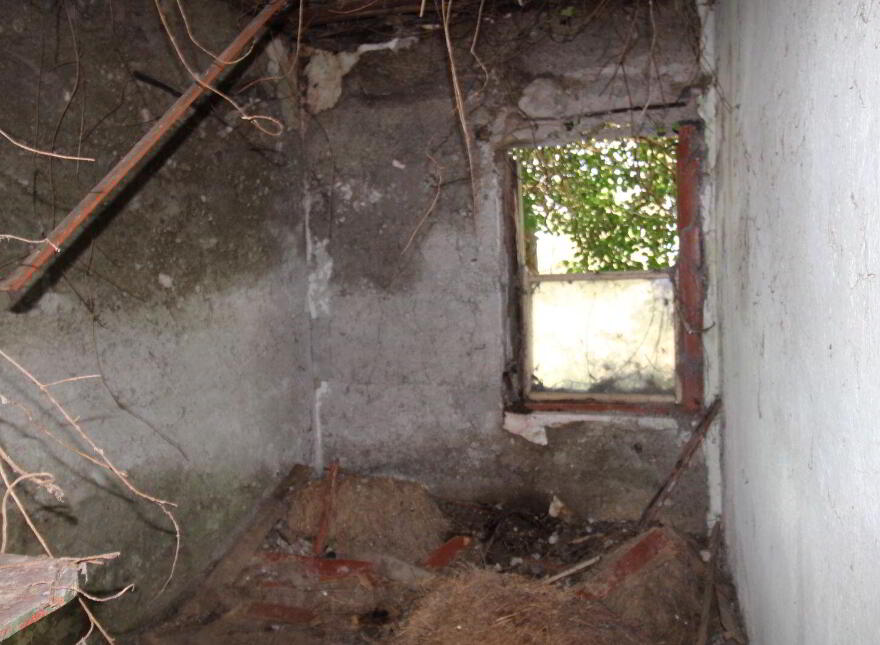 Derelict Cottage With Circa 9.7 Acres, Partry