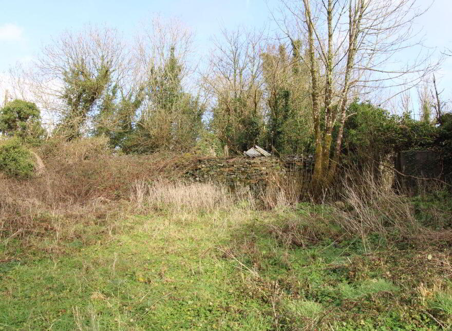Derelict Cottage With Circa 9.7 Acres, Partry