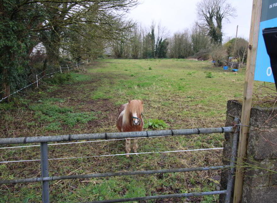 Derelict Cottage With Circa 9.7 Acres, Partry