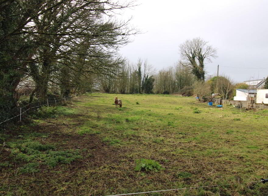 Derelict Cottage With Circa 9.7 Acres, Partry