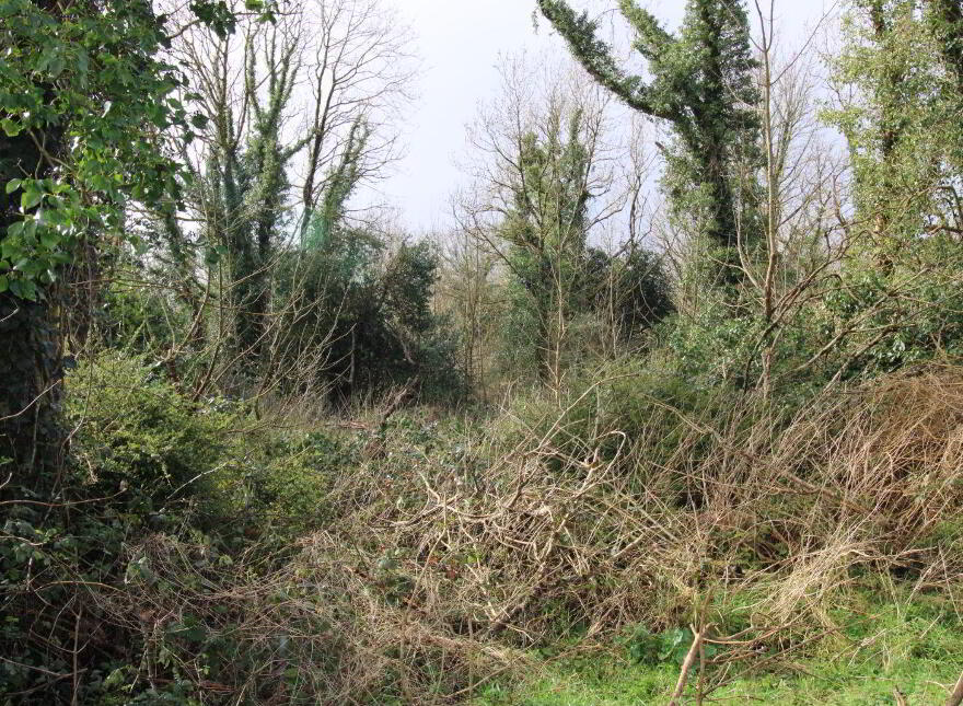Derelict Cottage With Circa 9.7 Acres, Partry