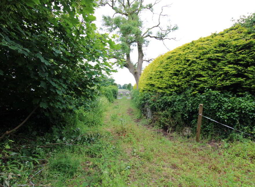 Derelict Cottage With Circa 9.7 Acres, Partry
