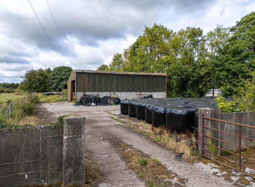 Freagh, Kilcormac, R42DP89