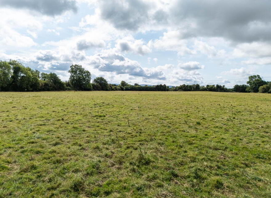 Freagh, Kilcormac, R42DP89