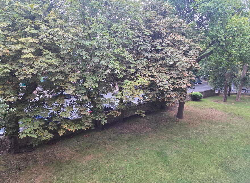 Apartment 24 Burleigh Court, Ballsbridge, Ballsbridge, D04KX76