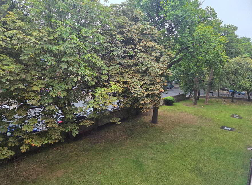 Apartment 24 Burleigh Court, Ballsbridge, Ballsbridge, D04KX76