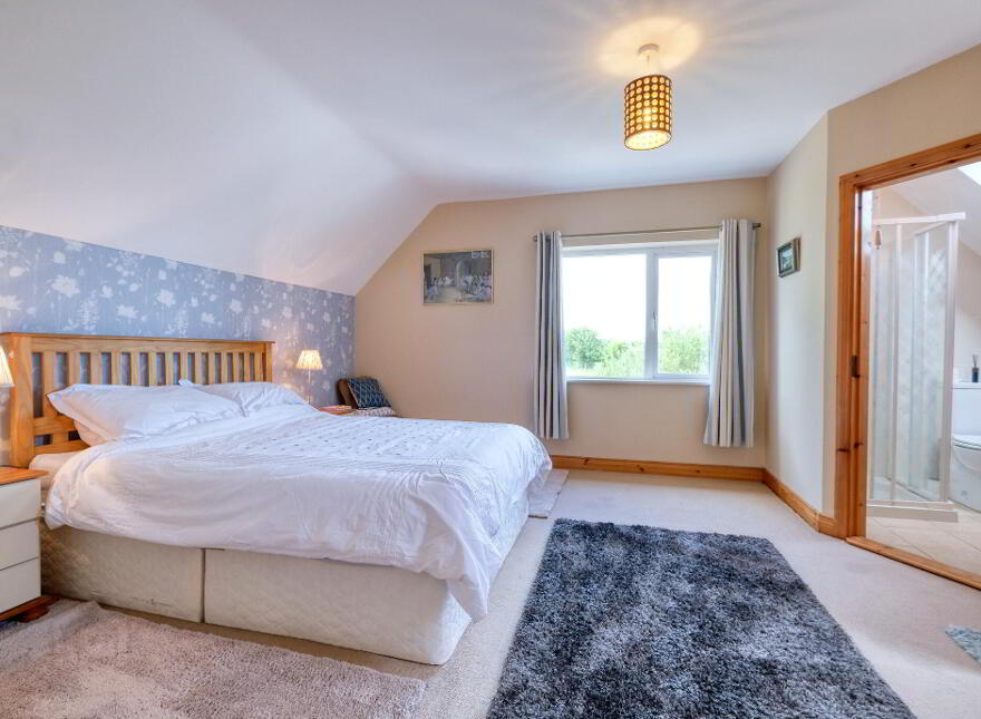 Clooneagh, Bornacoola, N41T298