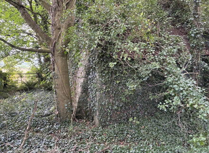 Knockainey Hill, Hospital