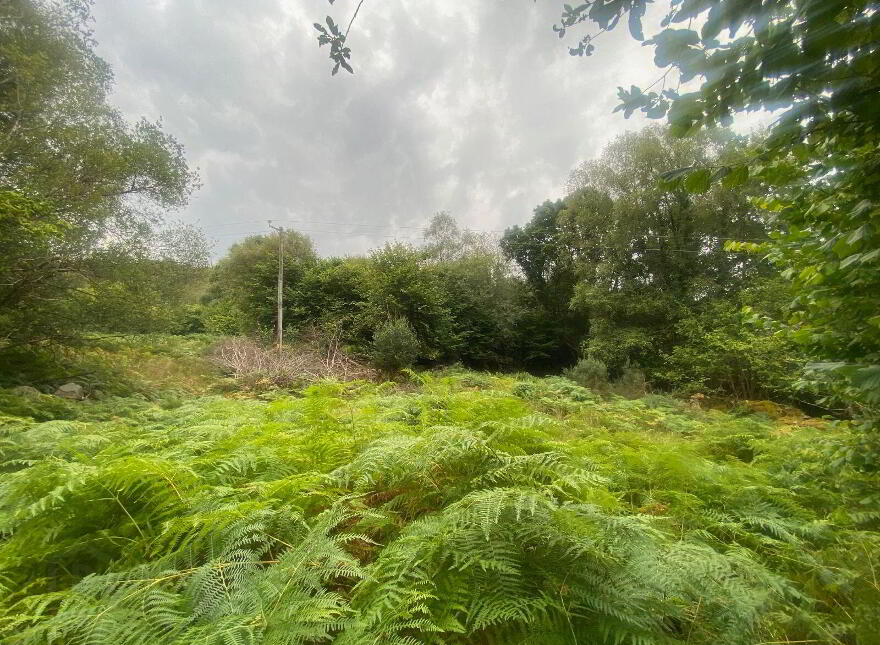C.0 47ac Annagh Beg, Glenflesk, Killarney