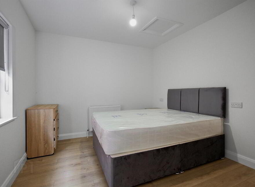 81b Botanic Avenue, Belfast, BT7 1JL