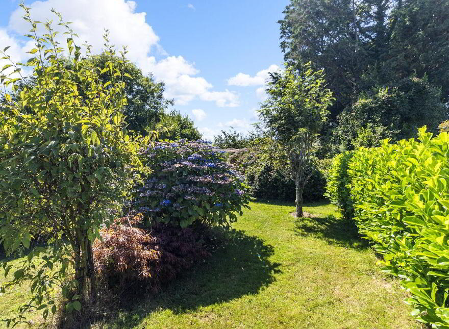 Youngrove, Midleton, P25DH39
