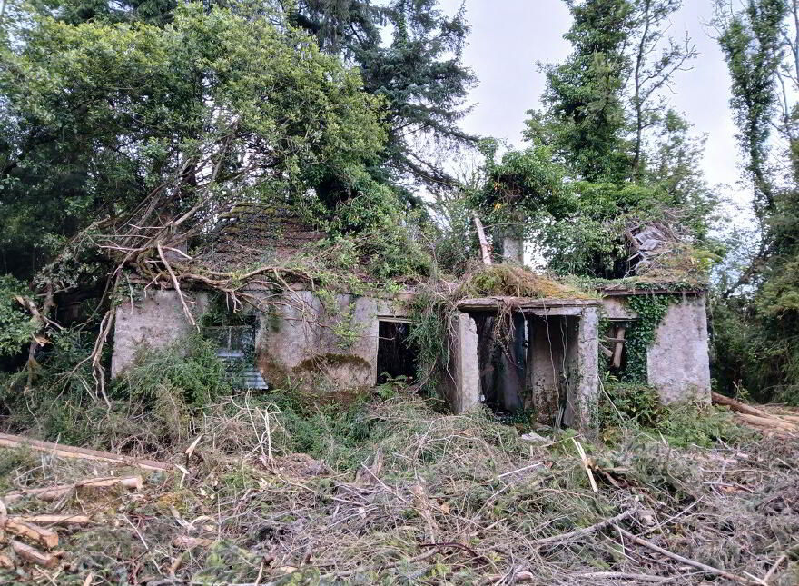 Srloaghan, Aghawillin, Ballinamore