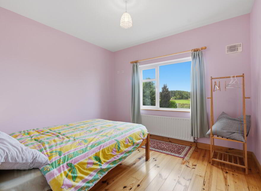 Shanvally, Kiltimagh, F12K207