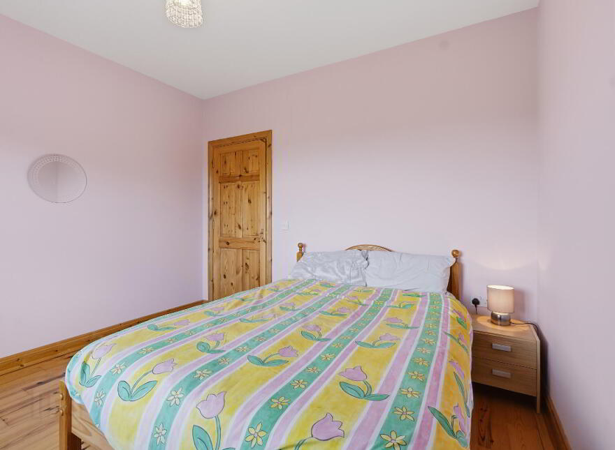 Shanvally, Kiltimagh, F12K207