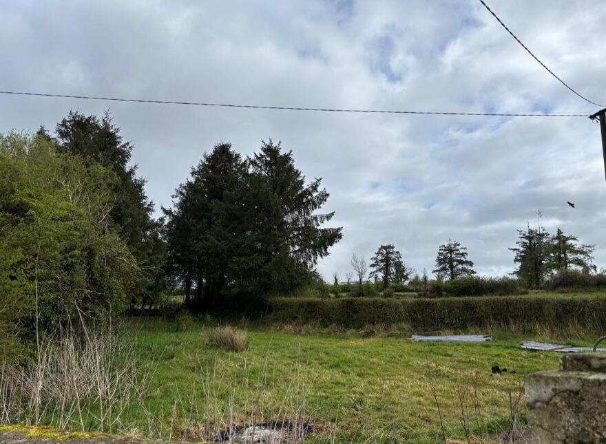 Leitrim Lower, Eslinbridge, Mohill, N41YX72