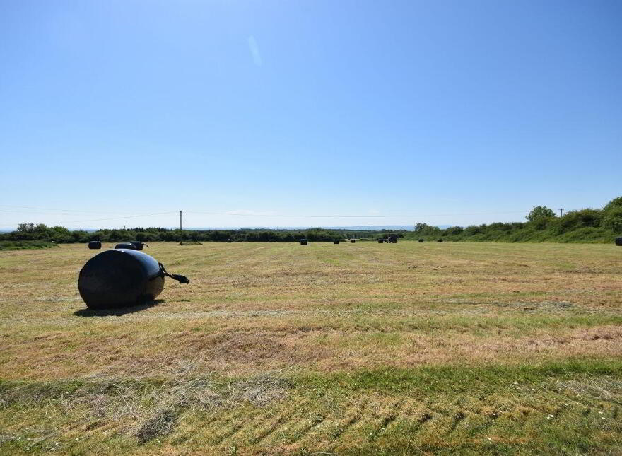 46.3 Acres, Residential Holding Kilgarvan, Ballylongford