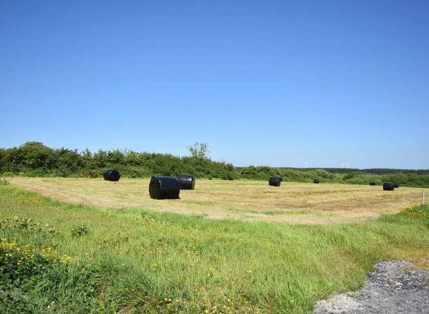 46.3 Residential Holding At Kilgarvan, Ballylongford, V31E542