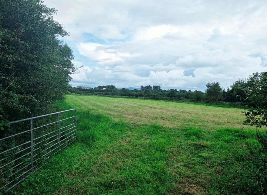 Silverhill, Grange
