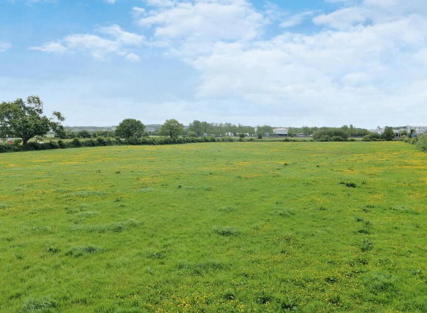 LOT 1) 7.9 Acres At Tanavalla, Listowel