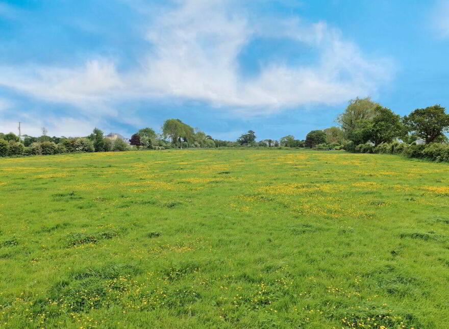 LOT 1) 7.9 Acres At Tanavalla, Listowel