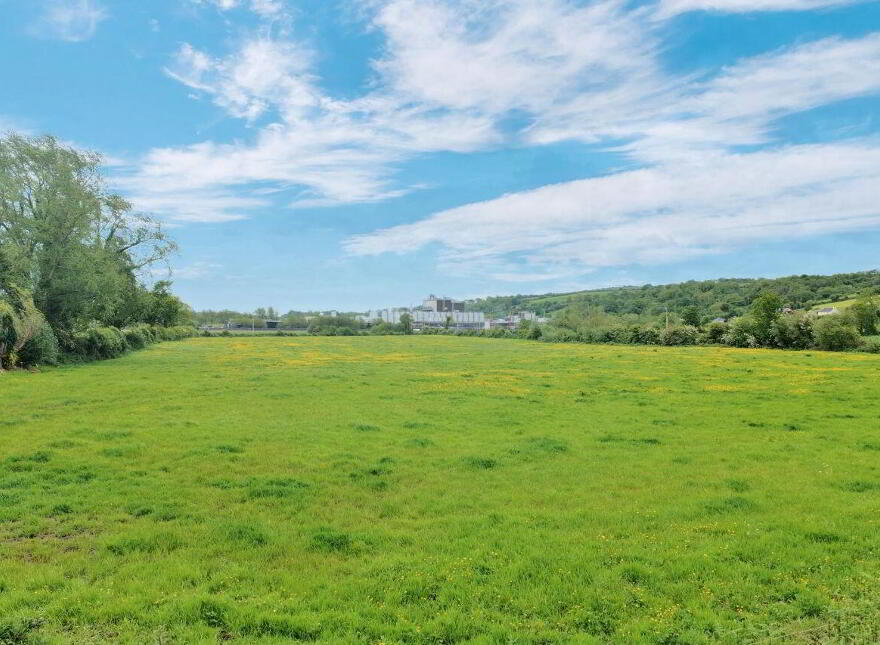 LOT 1) 7.9 Acres At Tanavalla, Listowel
