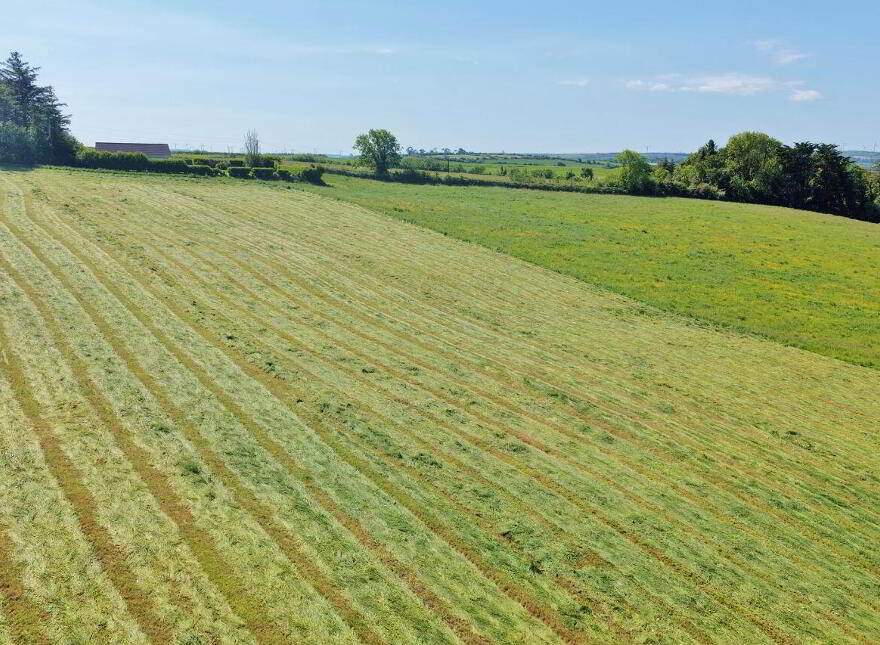 LOT 2) - 9.9 Acres At Tanavalla, Listowel