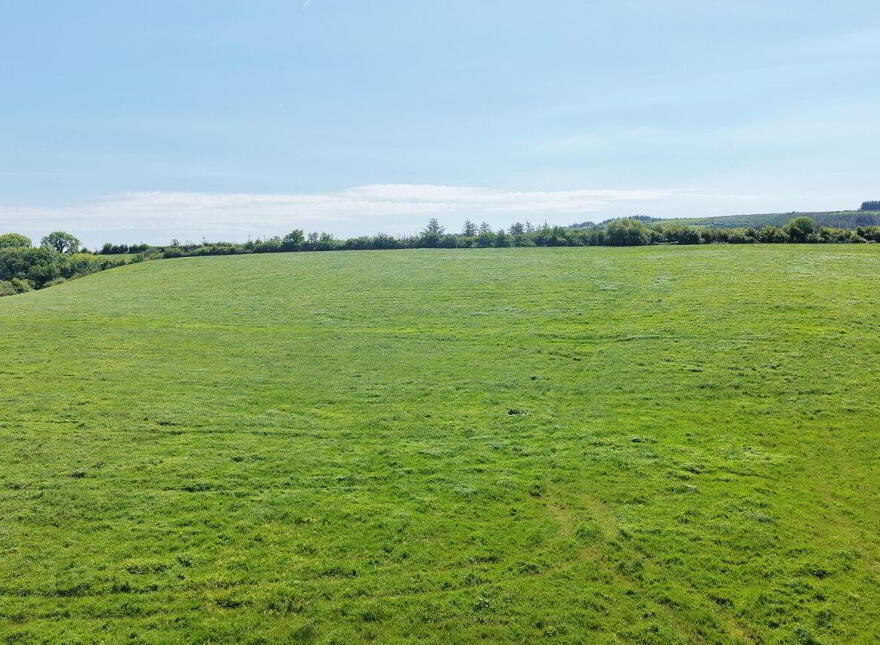 LOT 3) - 22.4 Acres At Mountcoal, Listowel