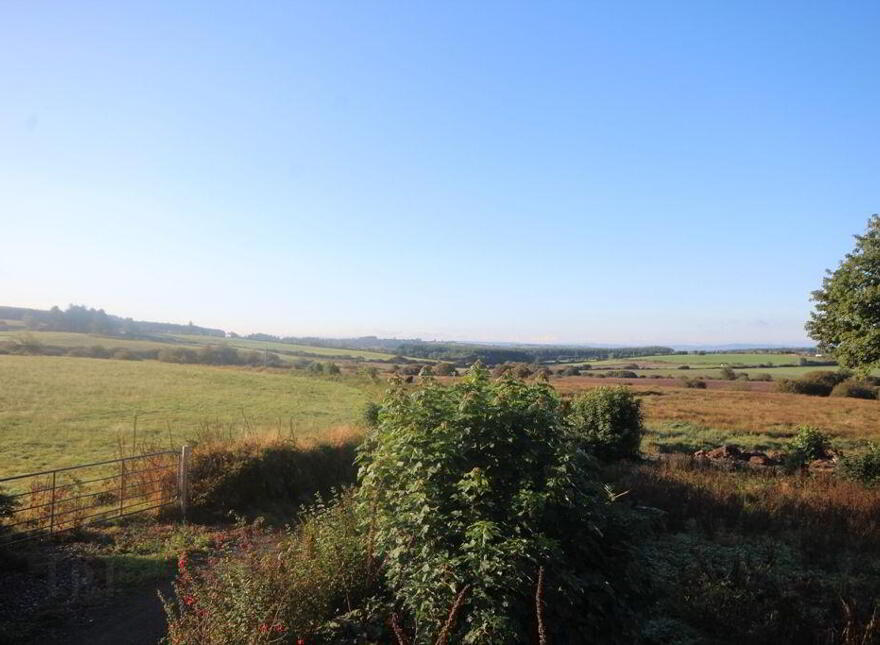 Carrigboy, Kilmichael, P12XP95