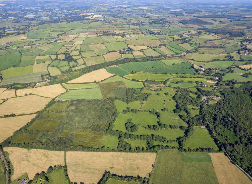 104 Acres At, Gneeves, Lombardstown, P51AX57