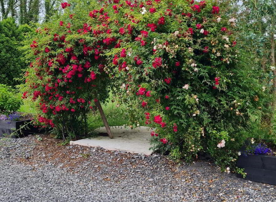 111 Gola Road, Enniskillen, Lisbellaw, BT74 4NQ